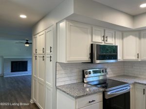 Kitchen renovation